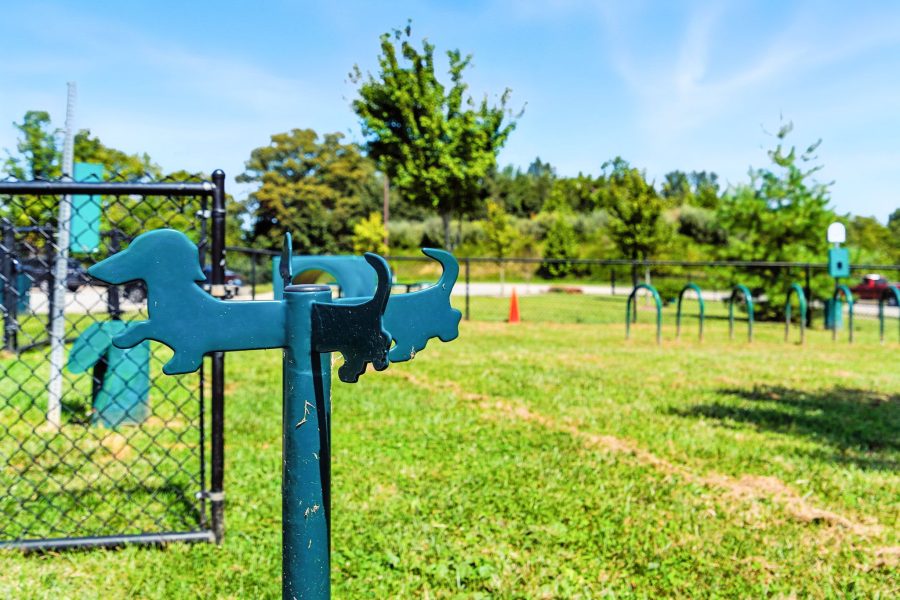 Bristol Bluffs- Dog Park 1